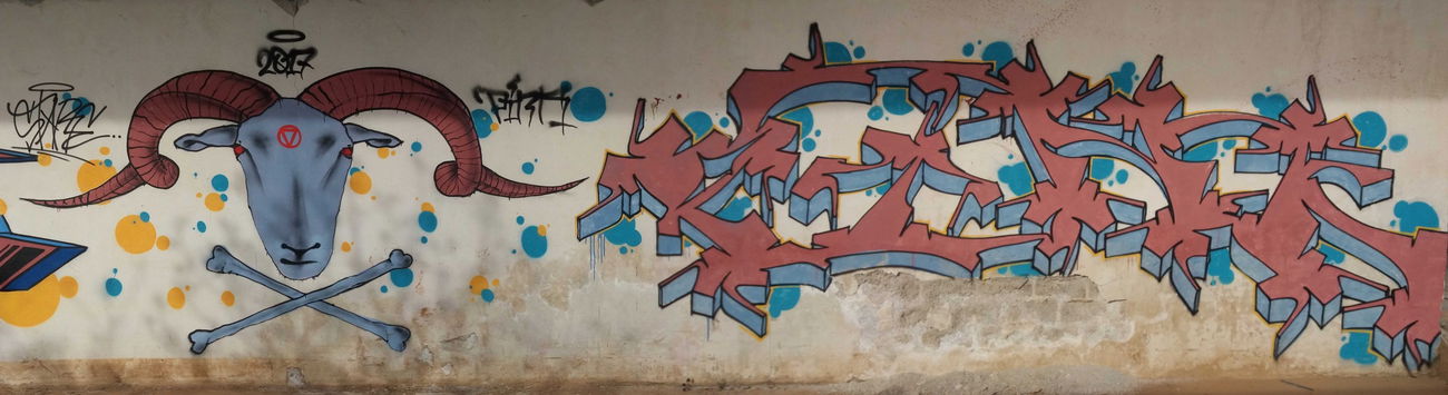 Graffiti Wall - Photo by PINK - pink, skullgoat (2017)