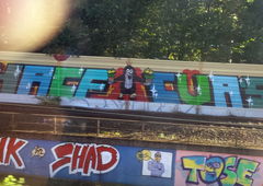 Graffiti Bombing in Essen - Photo by PL_PartyZan - pink, shad, tose (2015)