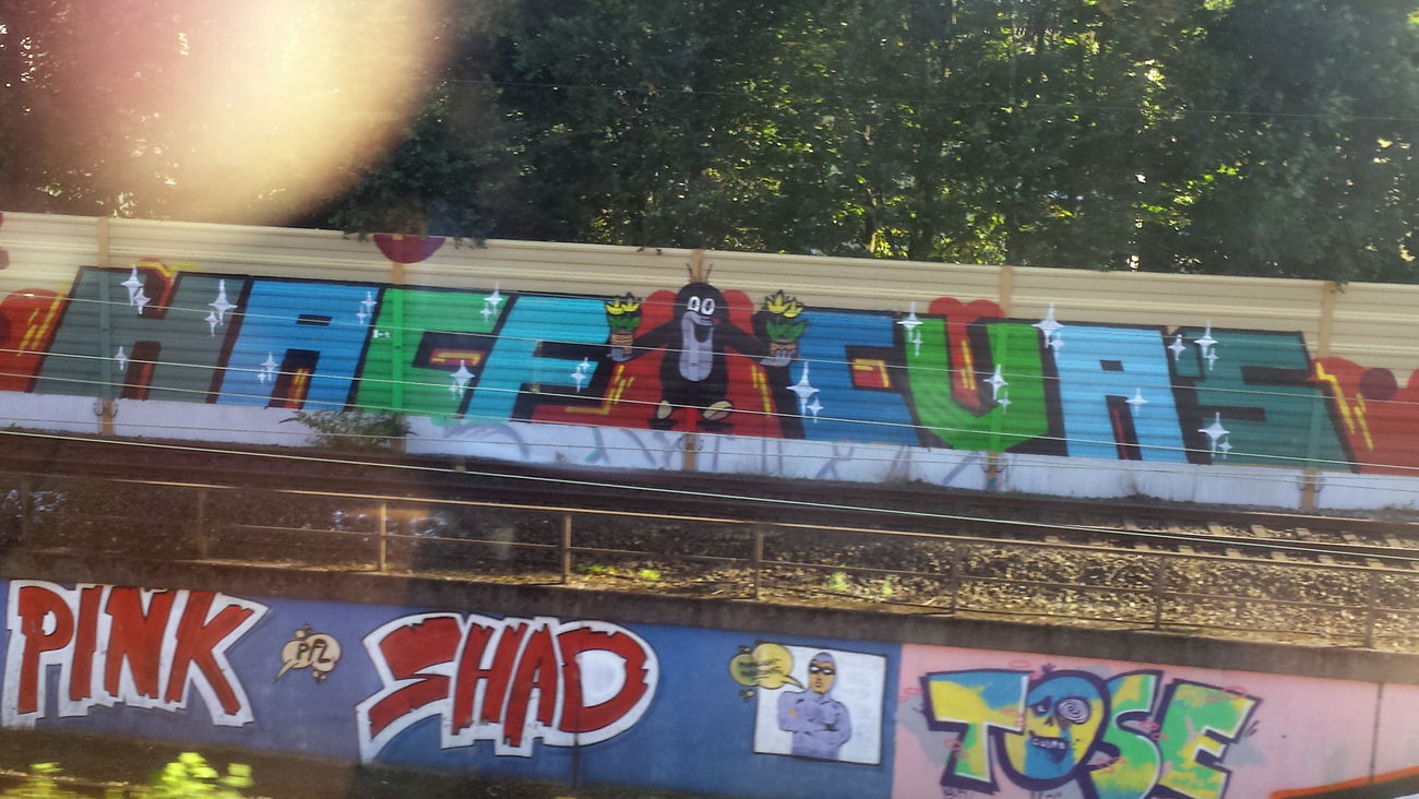 Graffiti Bombing in Essen - Photo by PL_PartyZan - pink, shad, tose (2015)