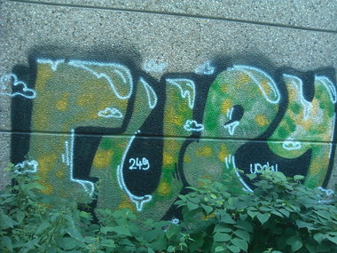 Graffiti Bombing in Essen - Photo by PL_PartyZan - fury, 249, usw (2013)