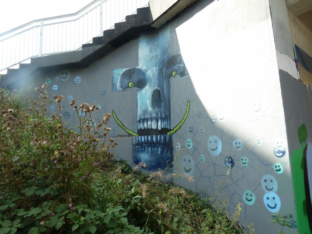 Graffiti Wall - Photo by PL_PartyZan - rip, oz, 2014 (2014)