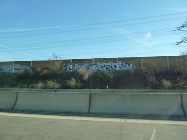 Graffiti Bombing - Photo by PL_PartyZan