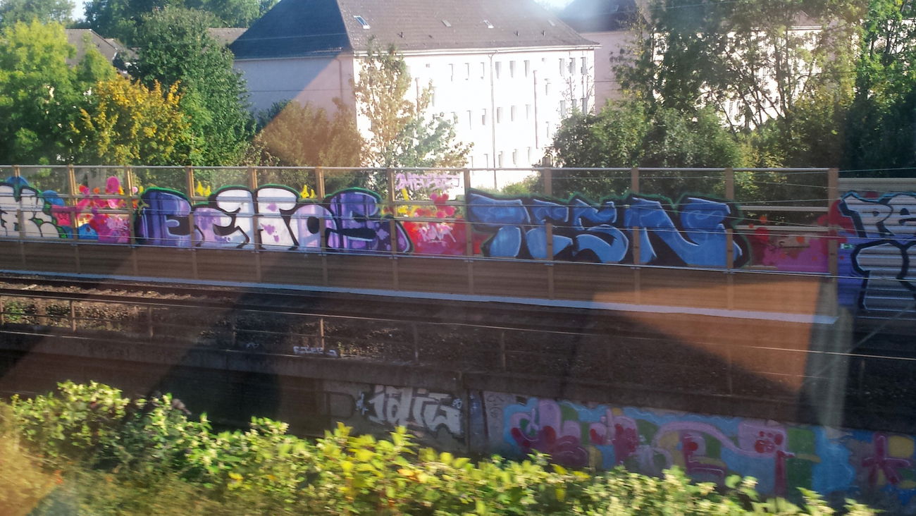 Graffiti Bombing in Essen - Photo by PL_PartyZan - echos, echo, tesn (2015)