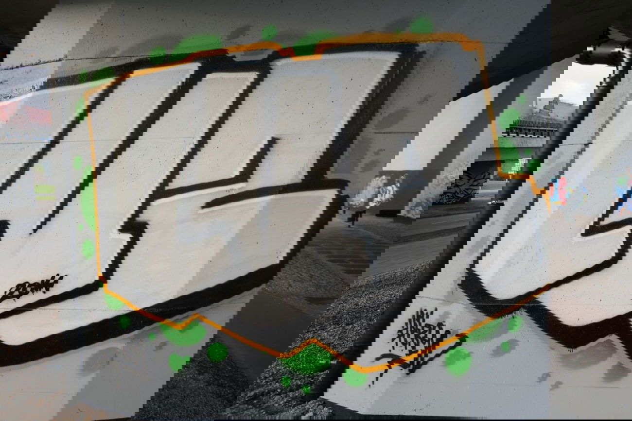 Graffiti Bombing in Szczecin - Photo by PL_PartyZan - sluzik, sluzik, luz (2014)