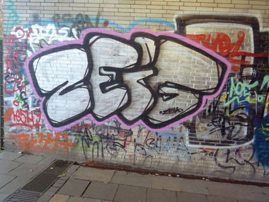 Graffiti Bombing in Germany - Photo by PL_PartyZan - zeig, zec, zeik (2015)