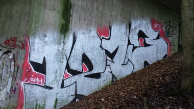 Graffiti Bombing in Essen - Photo by PL_PartyZan - 1213, smf, dbf (2014)