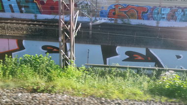 Graffiti Bombing in Essen - Photo by PL_PartyZan - eier, bot, debil (2015)
