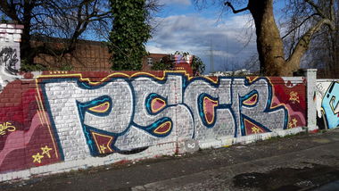 Graffiti Bombing in Essen - Photo by PL_PartyZan - ps, cr, crew (2015)