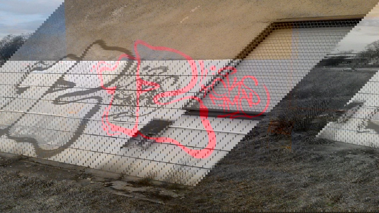 Graffiti Bombing in Mannheim - Photo by PORN - 12, cks, 7mc