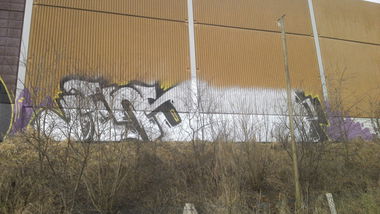 Graffiti Bombing - Photo by PORN