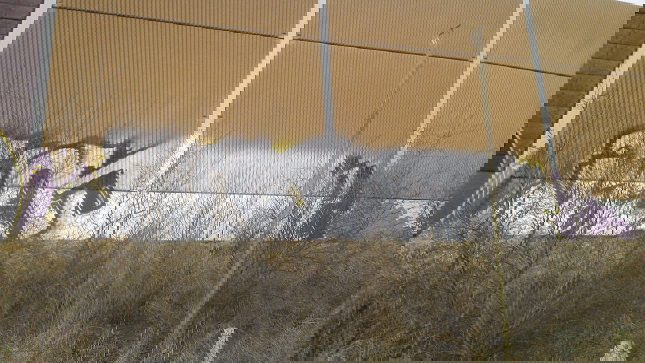 Graffiti Bombing - Photo by PORN