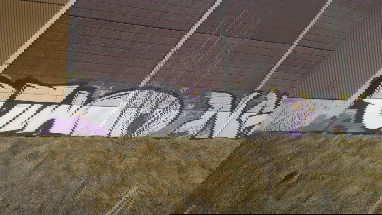 Graffiti Bombing in Mannheim - Photo by PORN - utwo