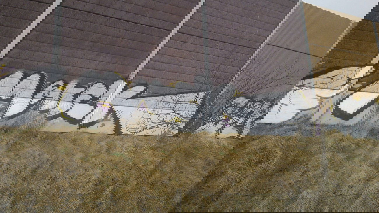 Graffiti Bombing in Mannheim - Photo by PORN - marek