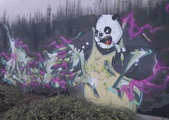 Photo #152512 by Belt