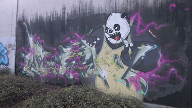 Graffiti Wall in Mannheim - Photo by PORN - crek, cose