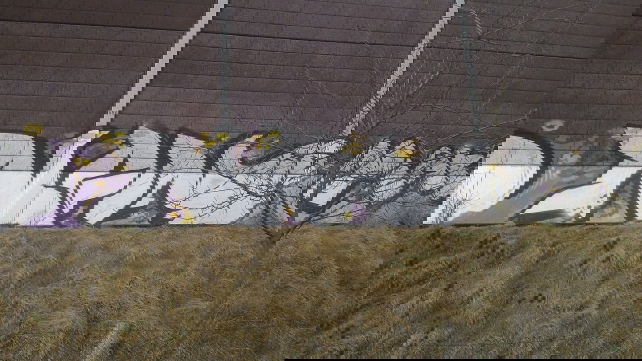 Graffiti Bombing in Mannheim - Photo by PORN - nan