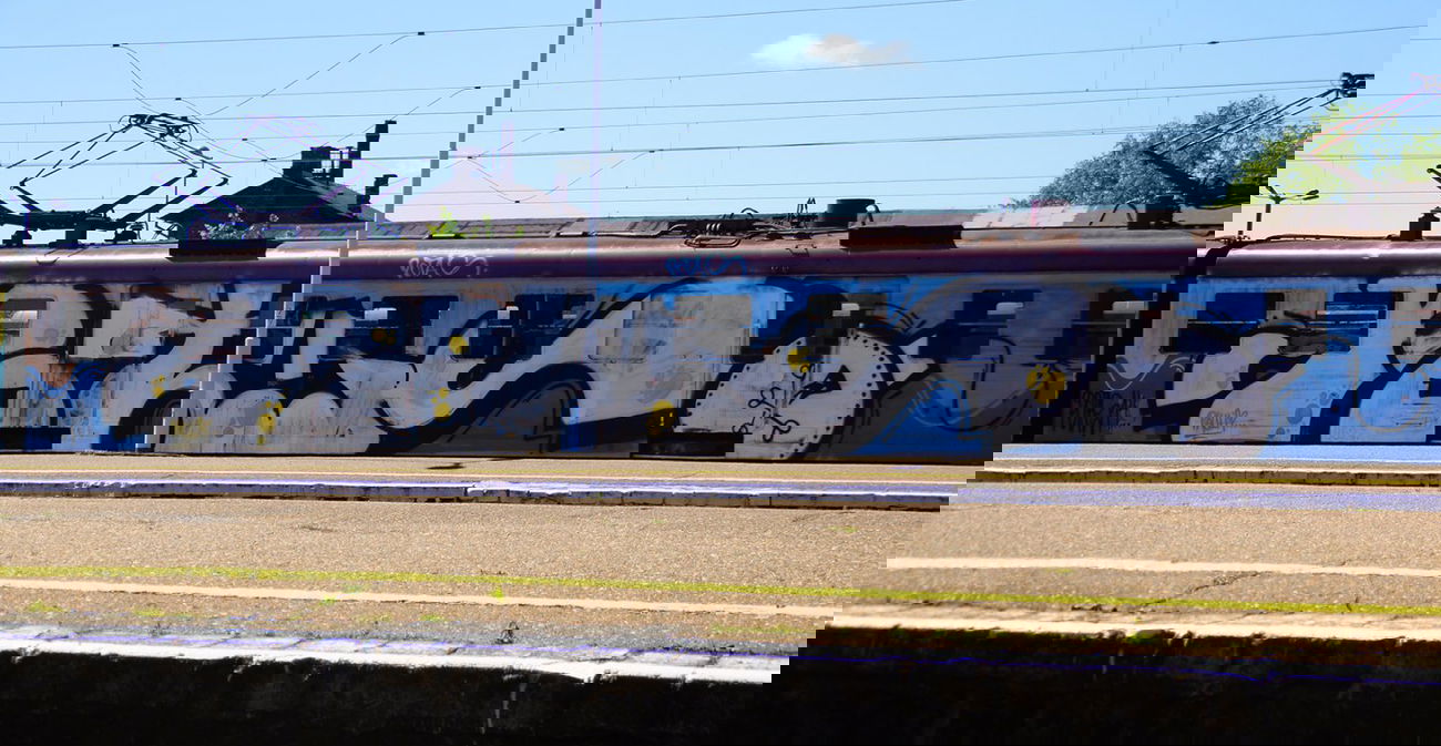 Graffiti Train - Photo by POTAS - potas, wholecar, black (2014)