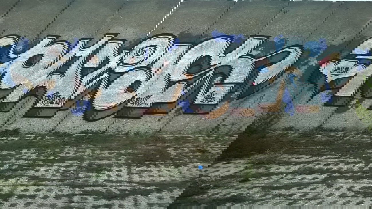 Graffiti Wall - Photo by POTAS - potas, potasone, bk (2014)