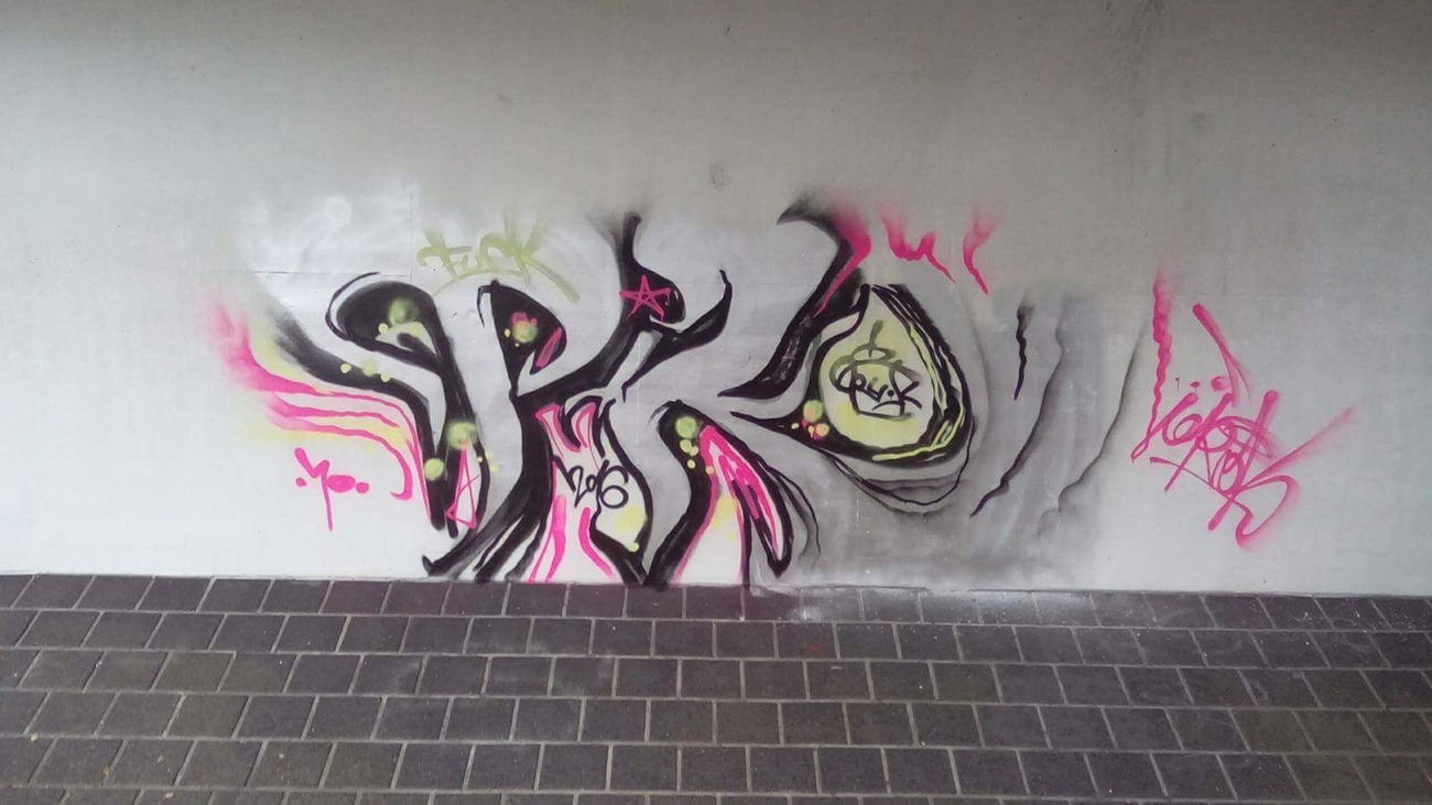 Graffiti Bombing in Królestwo niderlandów - Photo by PROKBUM (2016)