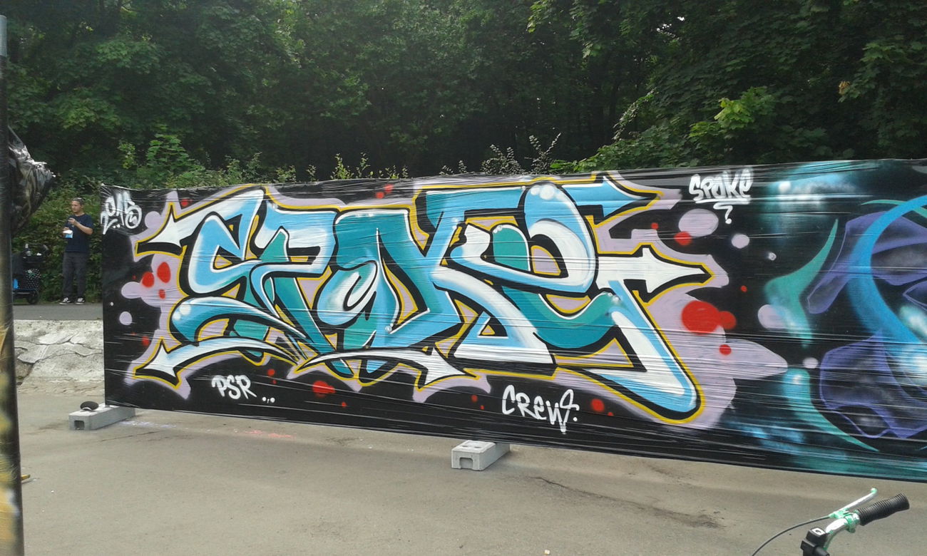 Graffiti Artwork - Photo by PSR - prinzenpark, braunschweig, psr (2015)