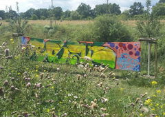 Photo #161643 by TagHagel