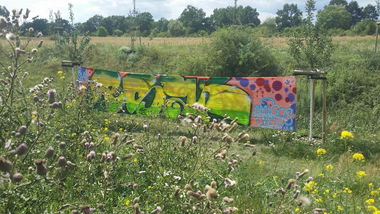 Graffiti Artwork - Photo by PSYK_ART