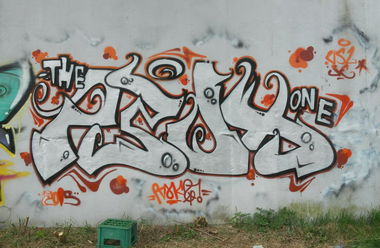 Graffiti Bombing - Photo by PTAKZ (2015)