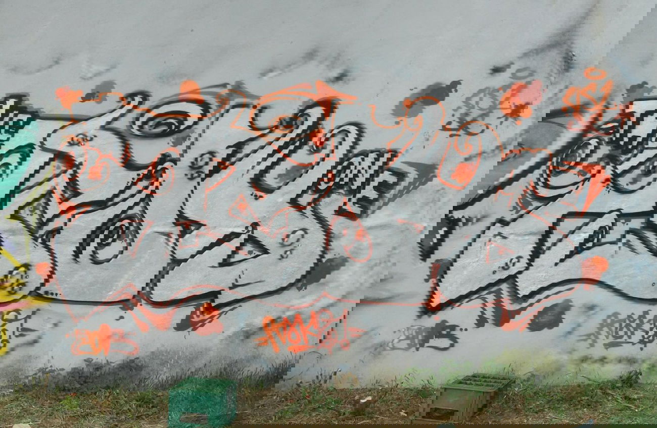 Graffiti Bombing - Photo by PTAKZ (2015)