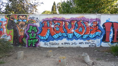 Graffiti Wall - Photo by PUNX - Havok, MUFFS (2016)