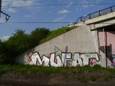 Graffiti Bombing - Photo by PUNX
