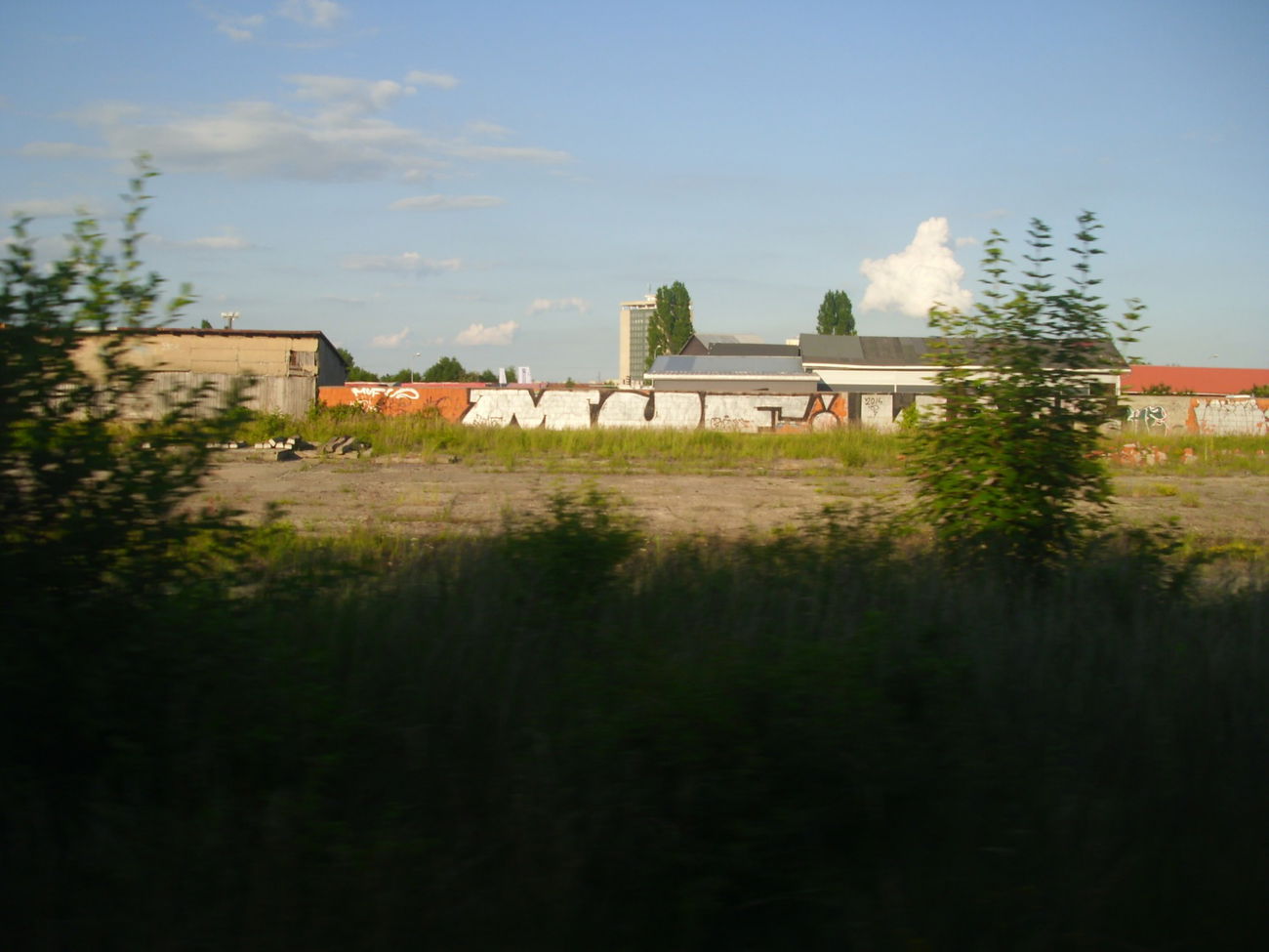 Graffiti Bombing - Photo by PUNX