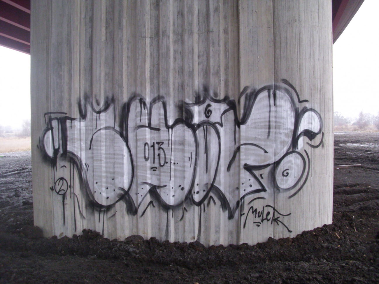 Graffiti Bombing - Photo by PUNX