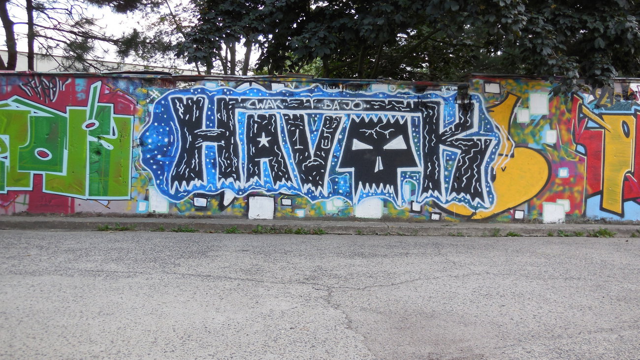 Graffiti Wall - Photo by PUNX - Havok, MUFFS (2015)