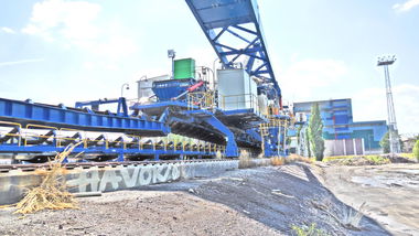 Graffiti Artwork - Photo by PUNX - Havok, MUFFS (2016)