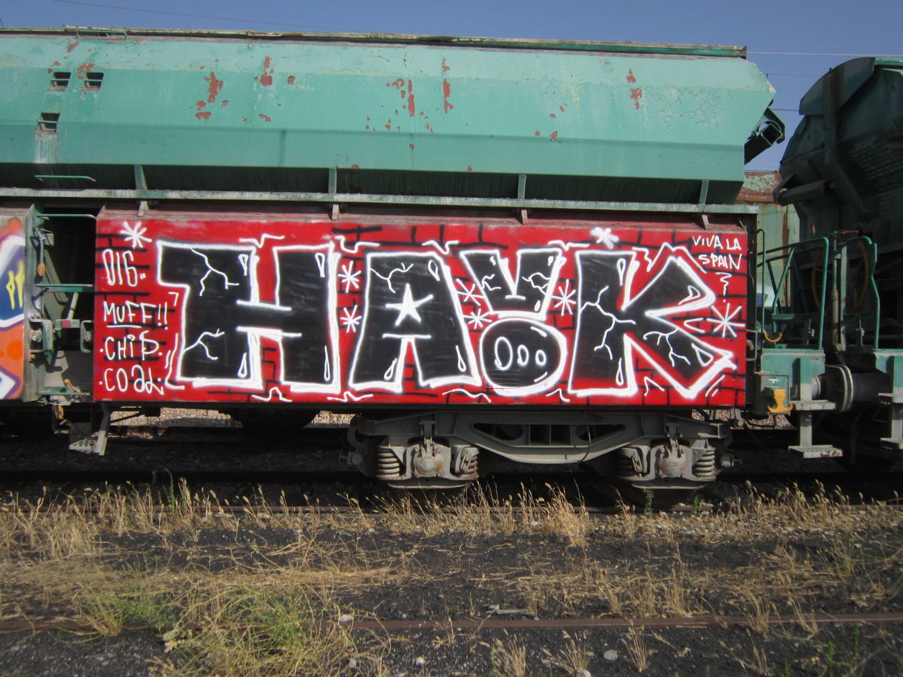 Graffiti Train - Photo by PUNX - Havok, MUFFS (2016)