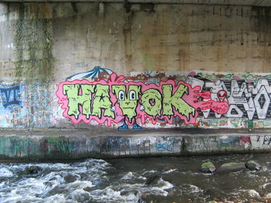 Graffiti Wall - Photo by PUNX - Havok, MUFFS