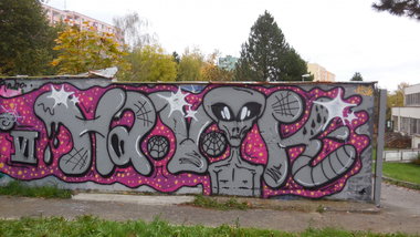 Graffiti Wall - Photo by PUNX - Havok, MUFFS (2015)