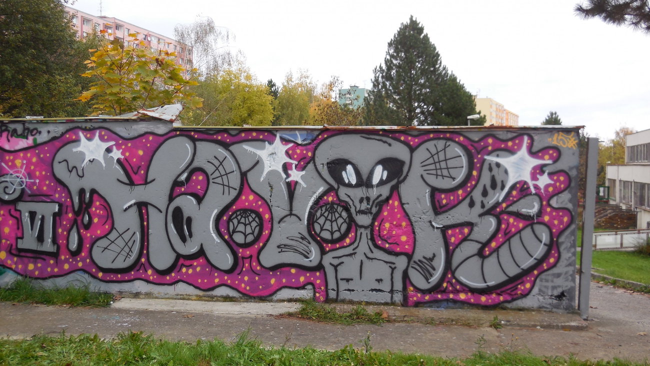 Graffiti Wall - Photo by PUNX - Havok, MUFFS (2015)