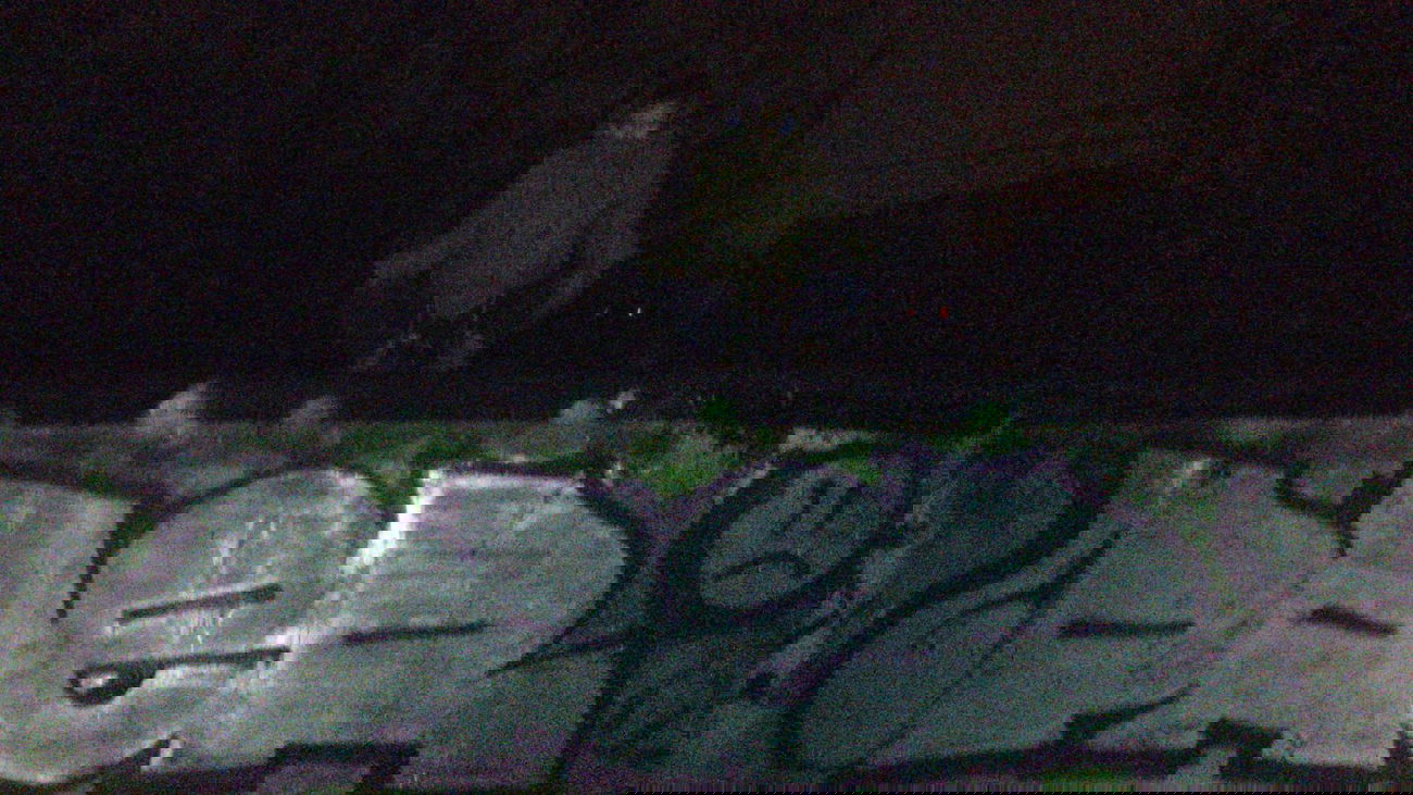 Graffiti Bombing - Photo by Paer