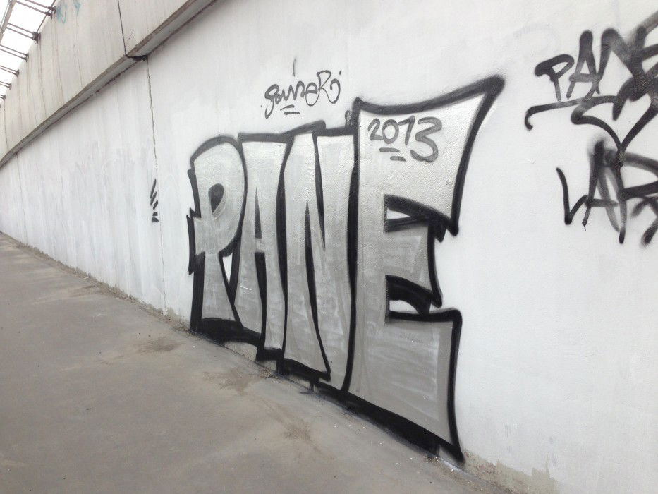 Graffiti Bombing - Photo by Panek