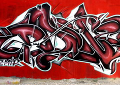 Photo #31355 by Pius