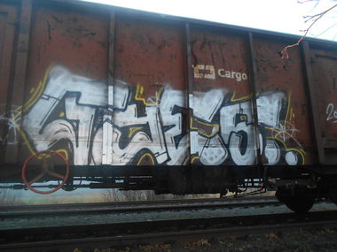 Graffiti Train - Photo by Panxnotdead - freight (2014)