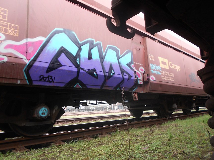 Graffiti Train - Photo by Panxnotdead - freight (2013)