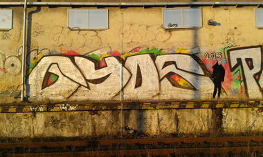 Graffiti Bombing in Okres Vsetín - Photo by Panxnotdead (2015)