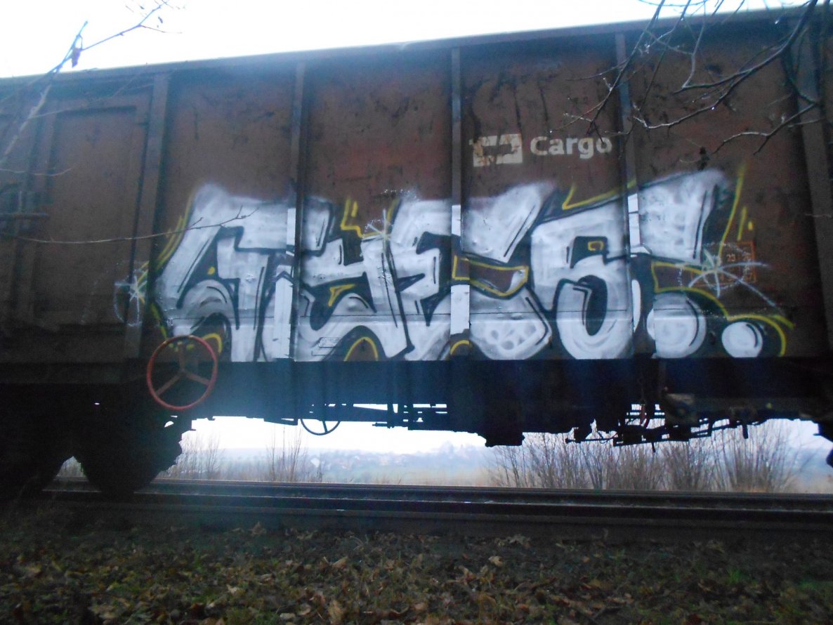 Graffiti Train in Okres Vsetín - Photo by Panxnotdead - Freight, gios, train (2014)