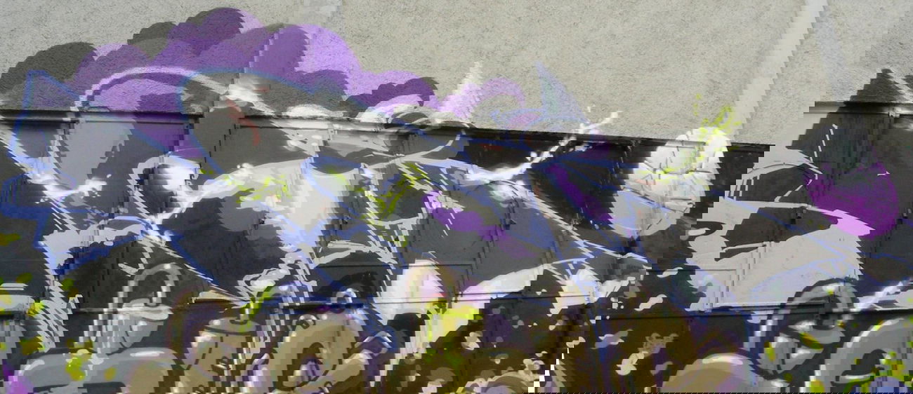 Graffiti Wall in München - Photo by Parasit - Acid, München, 79 (2012)