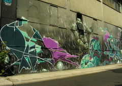 Photo #87304 by Belt