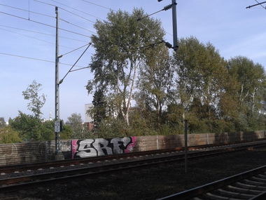 Graffiti Bombing - Photo by PaulPansen - srf