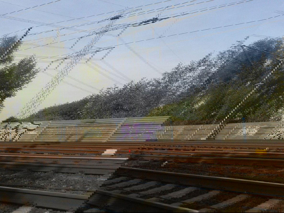 Graffiti Bombing - Photo by PaulPansen - srf