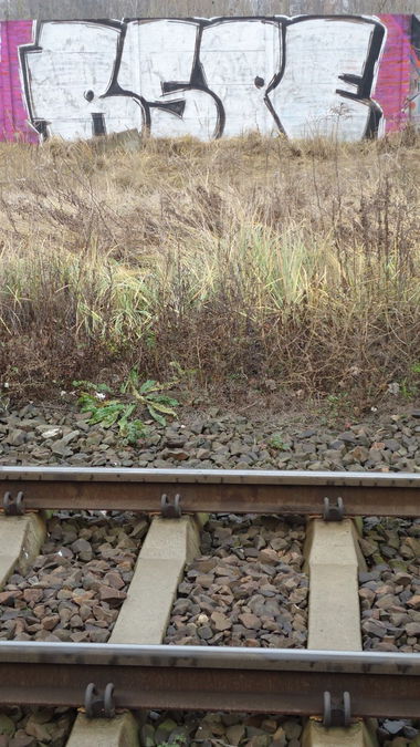 Graffiti Wall in ?ód? - Photo by Pawik - PAWIK, EMWU, RSP